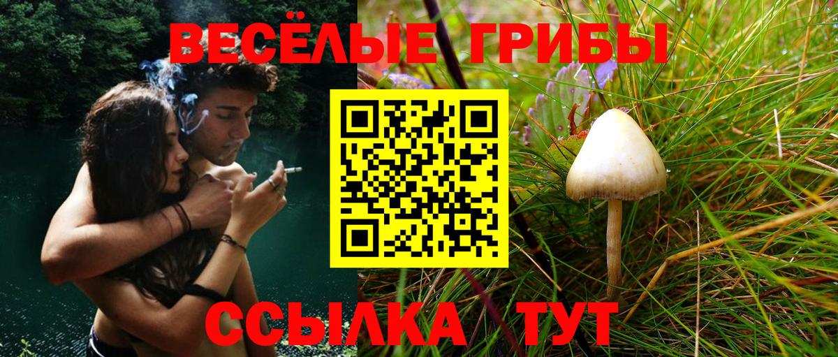 Псилоцибиновые грибы GOLDEN TEACHER Сафоново