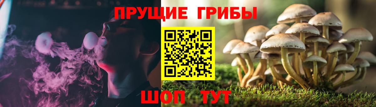 Сафоново  Псилоцибиновые грибы Magic Shrooms  Вход с VPN  Псилоцибиновые грибы ЛСД 